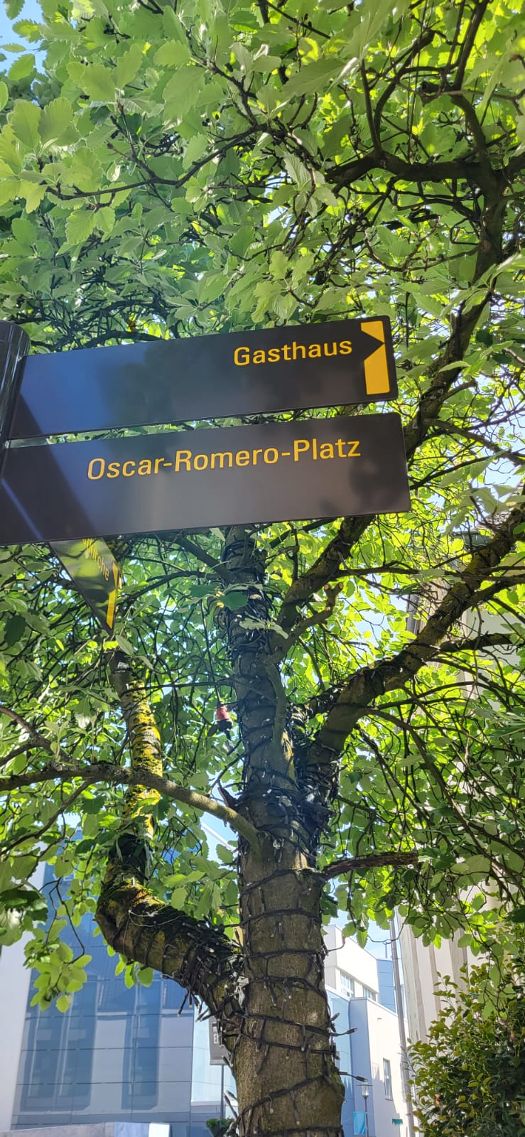 276a424d 10cb 42d0 9d97 867214d40f6f